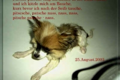 Dies ist Anastasia!
